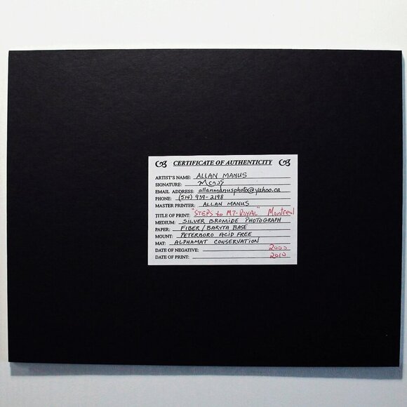 Silver Bromide Photograph Allan Manus Montréal Steps to Mount Royal With… - Picture 2 of 5